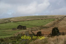 Photo 6x4 Sand Beds Farm and cows grazing beyond The farm is in ruins. Th c2009