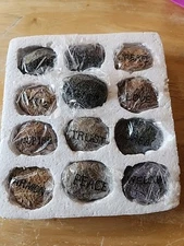 12 Faux Rocks With Uplifting Message For Water Fountain Or Garden Plants