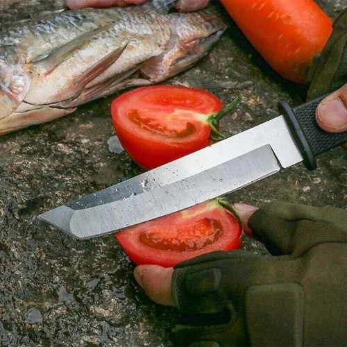 JAPAN SAMURAI TANTO Fixed Blade Tactical Knife Hunting Survival Straight Knives - Picture 2 of 7