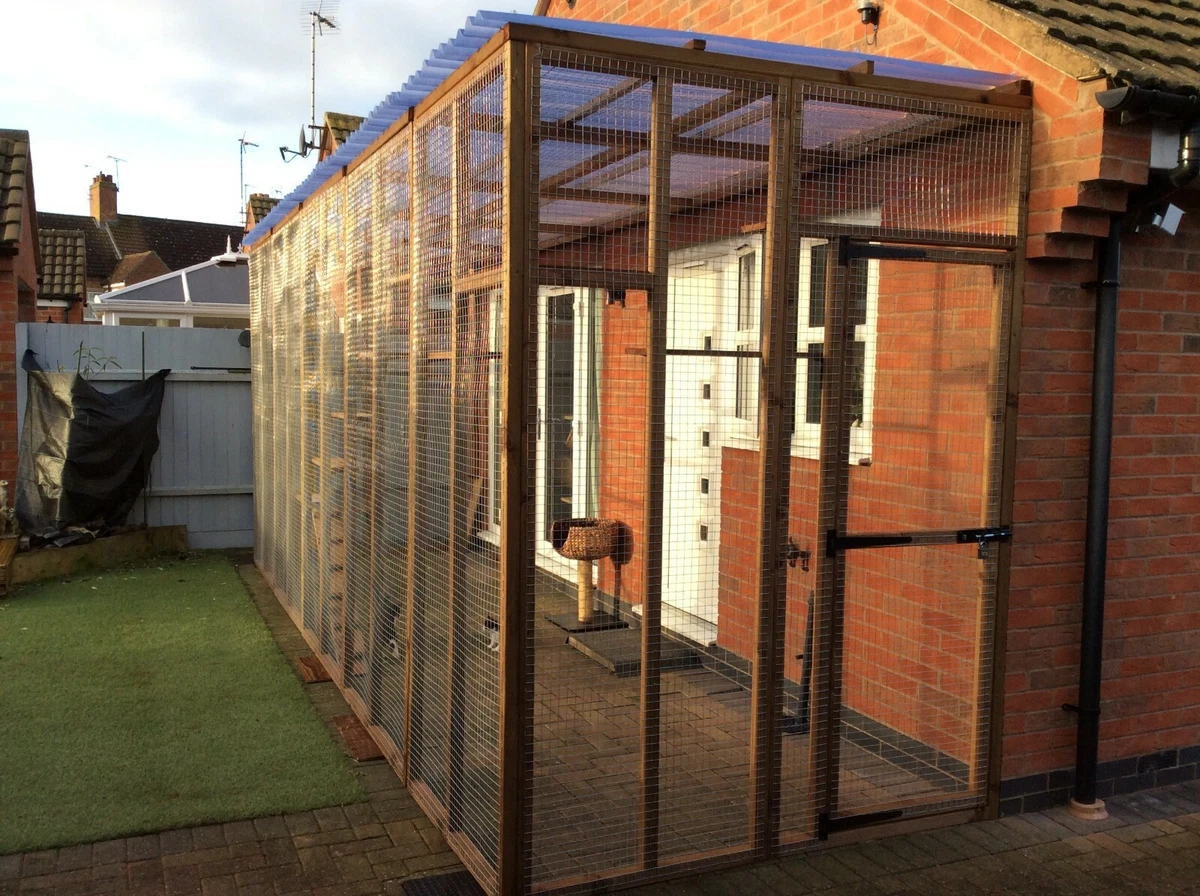 Tall cat kennel 2025