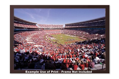 Alabama Crimson Tide Bryant-Denny Football Stadium Field Photo Print Pr6 CHOICES