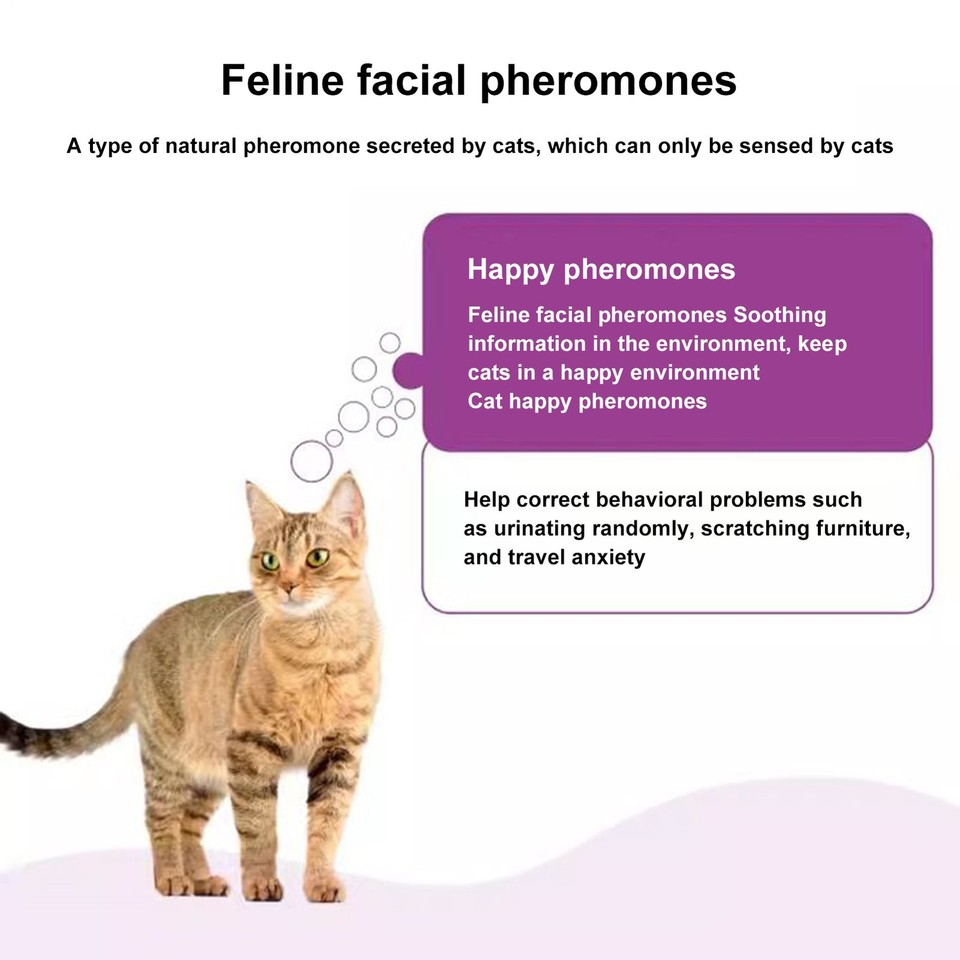 Photo inspiration: Gallery Detail: 2Pk Multi Cat Calming Diffuser Refills For Cats Pheromone Diffuser