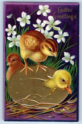 c1910's Easter Greetings Chicks Hatched Egg Flowers Winsch Back Antique Postcard