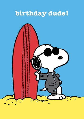 Snoopy Peanuts Comic Character Greetings Card Birthday Thank You Hugs - Picture 40 of 59