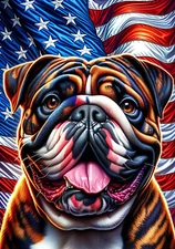 English Bulldog Brindle/White Patriotic III Flag