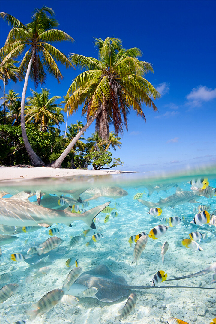 Tropical Sea Beach Scenery Silk Print New Wall Art Home Decor