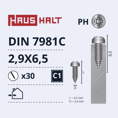 Self-Tapping Screw Haushalt Din7981C, 2.9 Mm X 6.5 Mm, 30 Pcs.