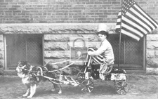 Dog Drawn Wagon School Patriot Parade Uncle Sam Boy US Flag - Reprint