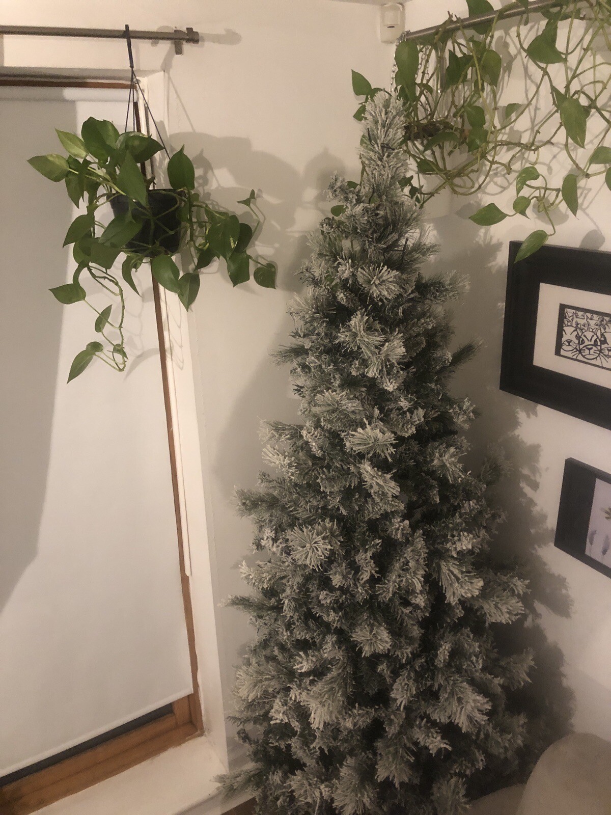 Slim PreLit Green Snow Covered Christmas Tree 7ft eBay