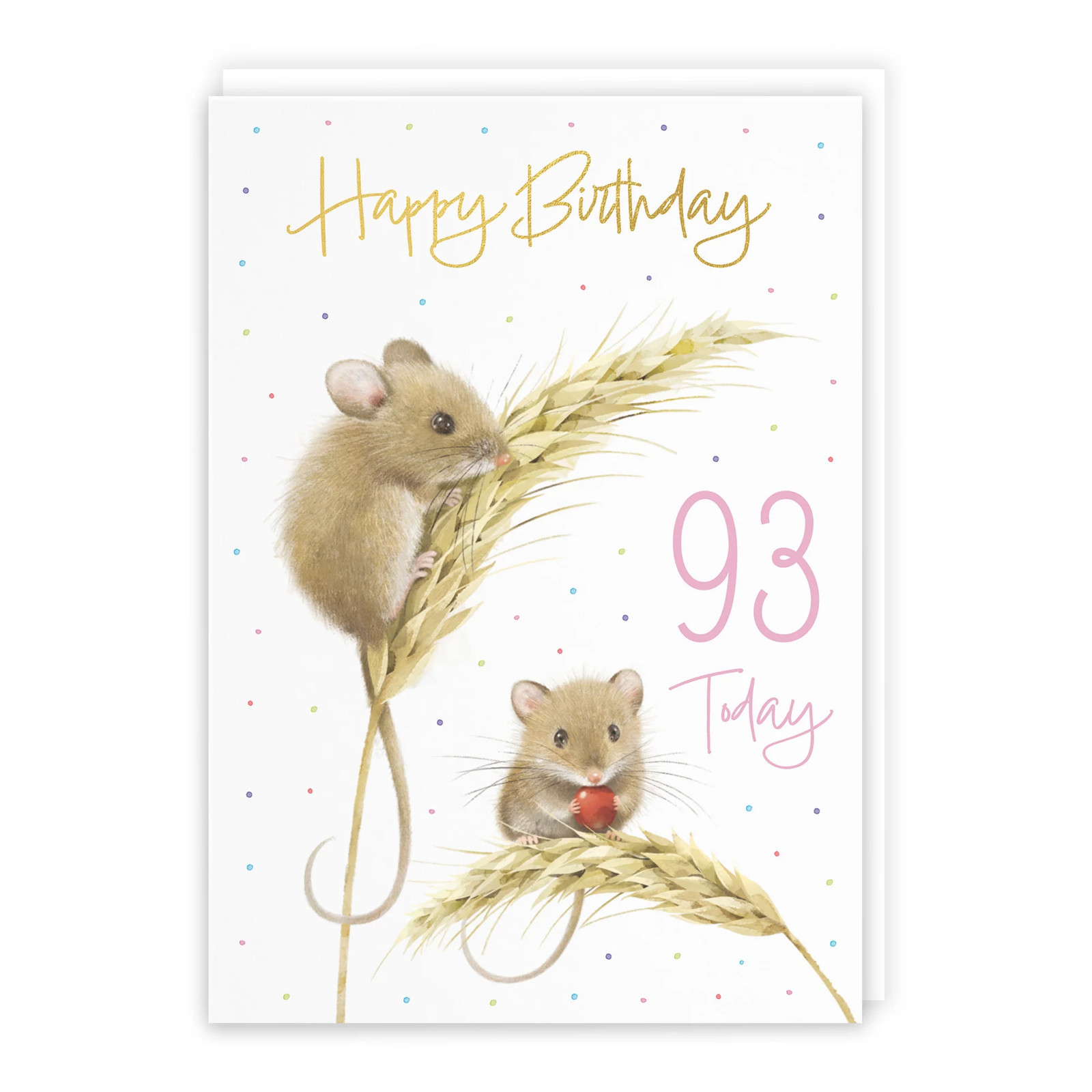 93rd Female Gold Foil Birthday Card Harvest Mice Milo's Gallery