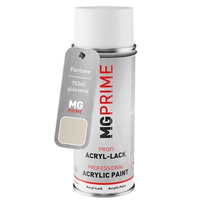Pantone 7534C Grey Spraydose 400 ml glänzend schnelltrocknend
