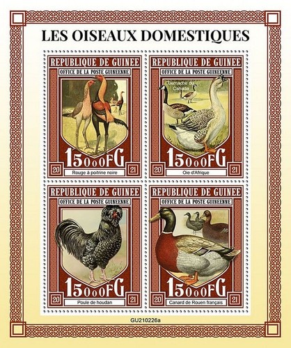 DOMESTIC BIRDS Chicken/Duck Birds/Bird MNH 4v-Stamp Sheet #974 (2021 Guinea) - 第 1/1 張圖片