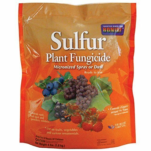 10 Best Fungicide For Powdery Mildew 