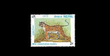 Nepal 1975 MNH 1v. Tiger (Panthera Tigris) &bull; Wild Animals &bull; Felines &bull; Big Cats