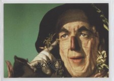 2006 Breygent The Wizard of Oz Scarecrow's formula #64 a8a