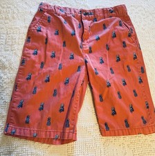 The Children's Place Boys Shorts Sz 16 Red Blue Pineapples Faded Preppy
