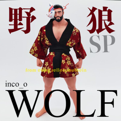 Wolf Sp Real Person Handmade Sculpture Gk Model Trend Soldier Rainbow