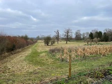 Photo 6x4 Field by the Manor House Church Oakley  c2021