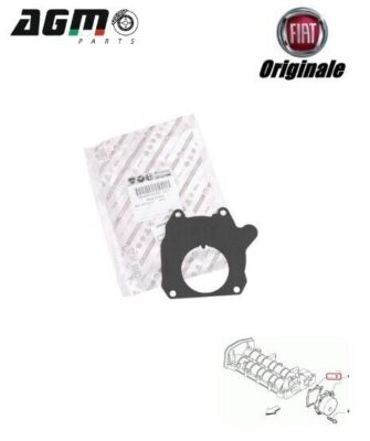 Guarnizione bocchettone per elettropompe ROVER POMPE COMPATIBILE - 001383