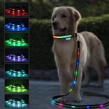 USB Rechargeable LED Dog Leash - 7 Colors & Color Cycling Mode, Light Up Dog ...