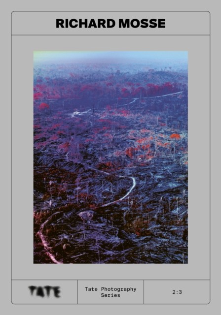 Tate Photography: Richard Mosse (Paperback Book)