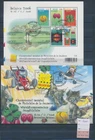 XE62335 Belgium 2006 stamp expo FDC/souvenir cancels sheets XXL used