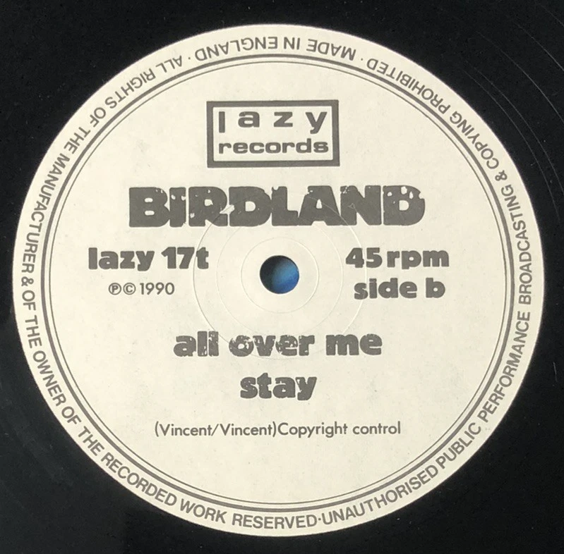 Birdland - Sleep With Me. UK Vinyl EP / 12" Single. Nm Vinyl & Audio. - Image 4 of 4