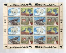 (948181) Icebear, Iguana, United Nations