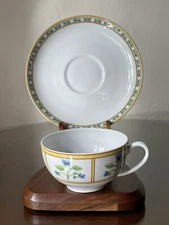 RARE Haviland Limoges Muscadin Teacup Saucer Set France