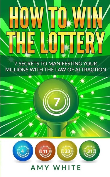 How To Win The Lottery Amy White Taschenbuch Kartoniert / Broschiert Englisch-image