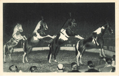 MIKIEP16-018- THE FOUR-HORSE PYRAMID PRESENTED BY MASTER ECUYER AL GR