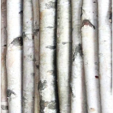 2.5-3.5 In. Width 8 Ft. Height Decorative White Birch Pole (Set Of 2)-37515