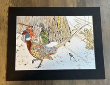 Mark Leary Wildlife Art Watercolour Painting Peter The Pheasant Amongst The Snow