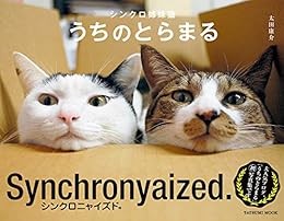 Synchro Sister Cat Uchino Toramaru