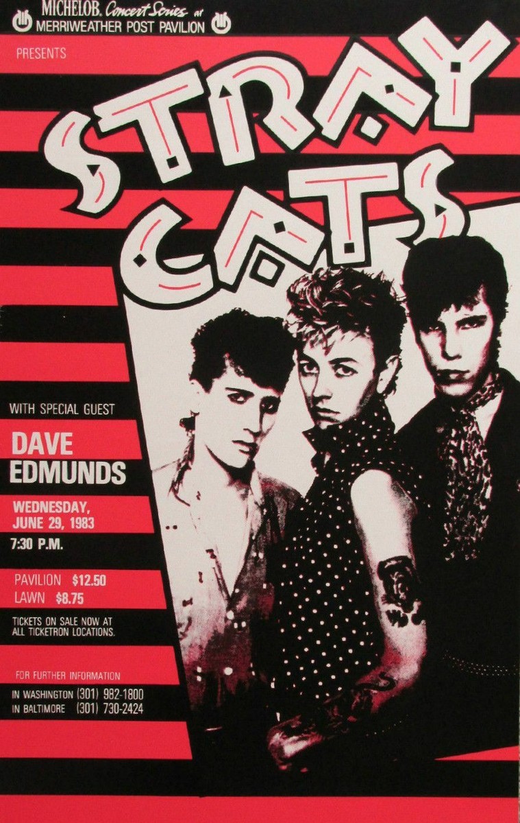 Stray Cats 13