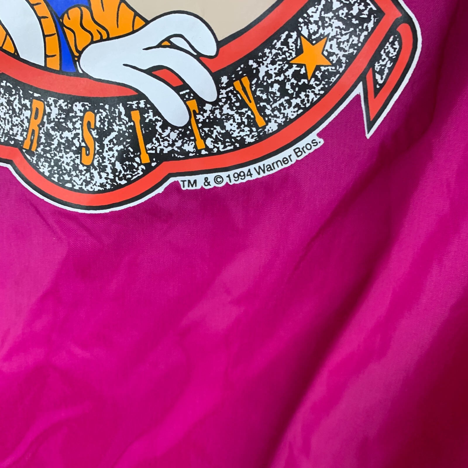 Vintage Looney TunesClass of 56 L Windbreaker 1994 WB NWT