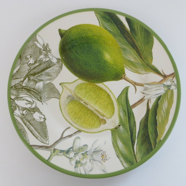 Williams Sonoma Botanical Citrus 481728 Fruit Green 1 Salad Plate