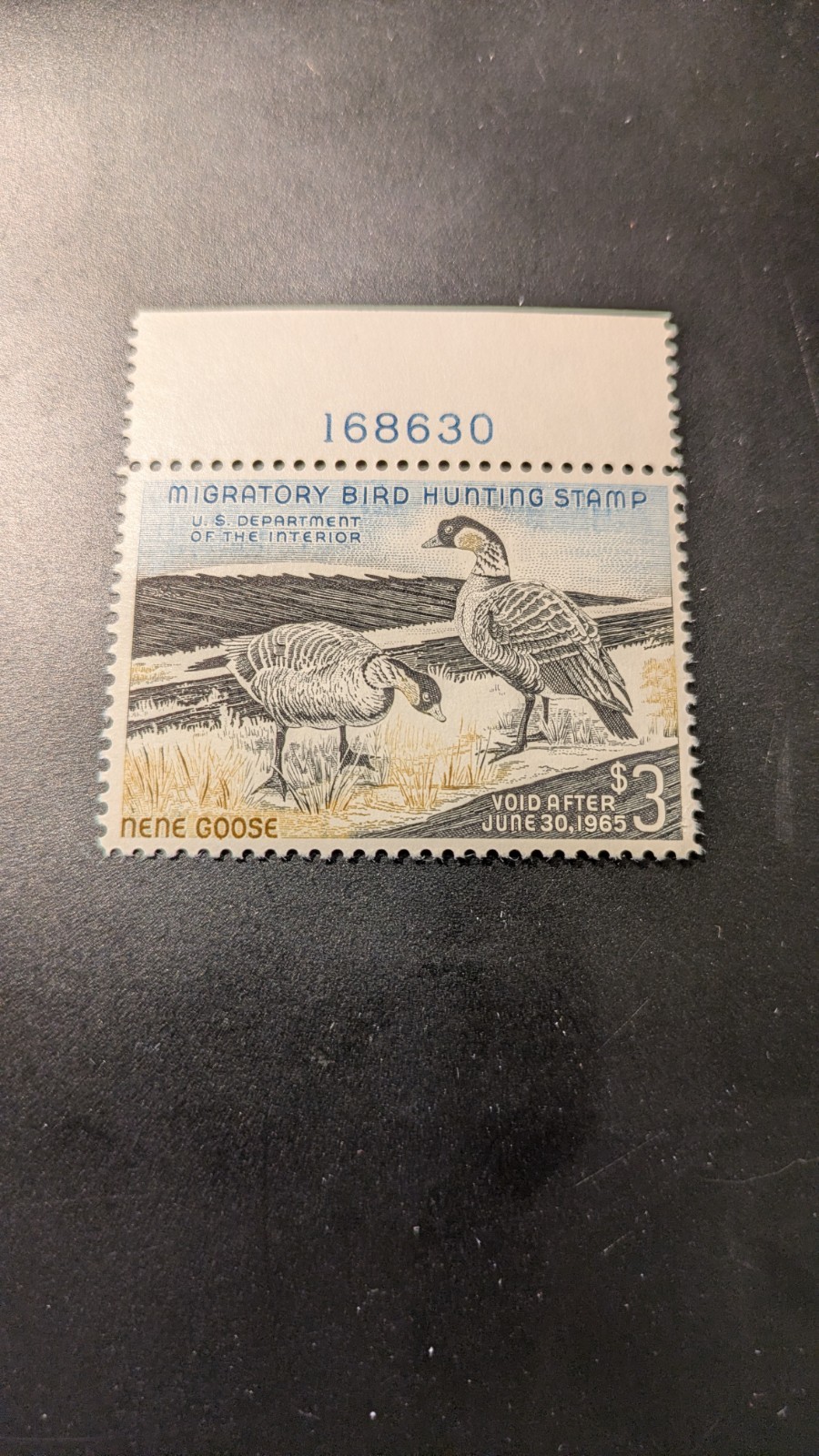 U.S. Federal Duck Stamp #RW31 Very Fine  Mint Never Hinged Plate Single