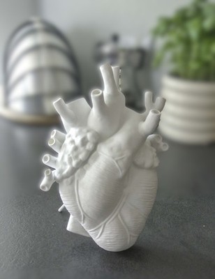 Seletti Herzvase Geschenk  Kardiologen Arzt weiß OVP NEU Love in Bloom Design