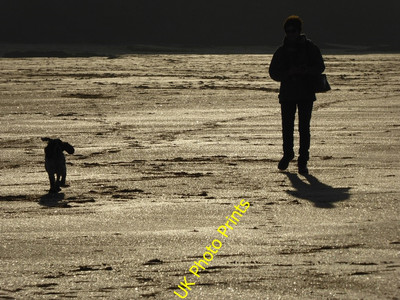 Foto 6x4 Dogwalker, Harlyn Bay Dogwalker silhouettiert am Nachmittag c2016
