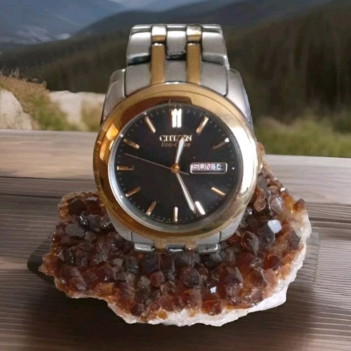 Mens Citizen Eco-Drive Watch Classic Blk Dial 2-Tone Calendar 41MM Water Resist