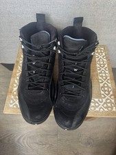 Air Jordan 12s