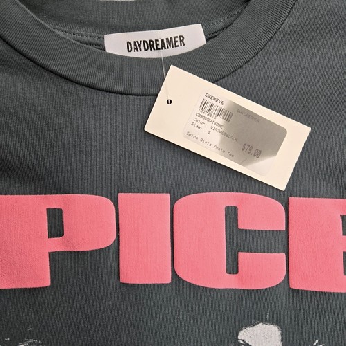 NEW Daydreamer LA Spice Girls Graphic Tee Gray Pink T Shirt Made in USA Small - Picture 2 of 5