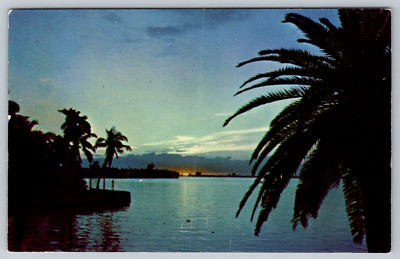 A Peaceful Tropical Lagoon Sunny Florida Postcard