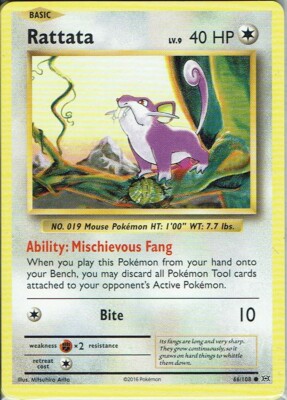 Pokemon Karte TCG XY Evolution Nr. 66/108 Rattata englisch