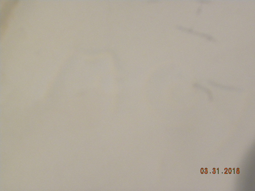 Vintage Pink McCoy Bulb Planter eBay