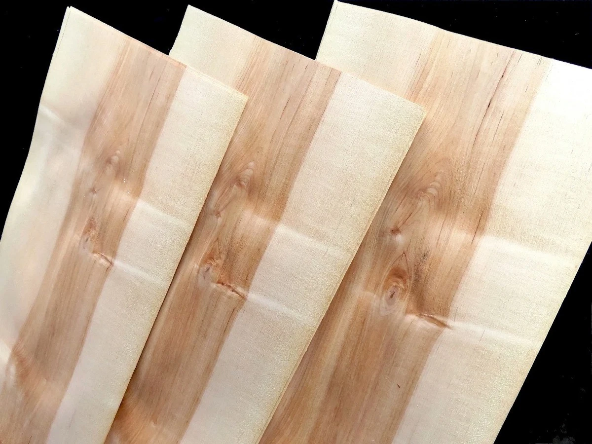 23 hojas KERN ARCE chapa chapa de madera auténtica hoja construcción de muebles estante lámpara pantalla