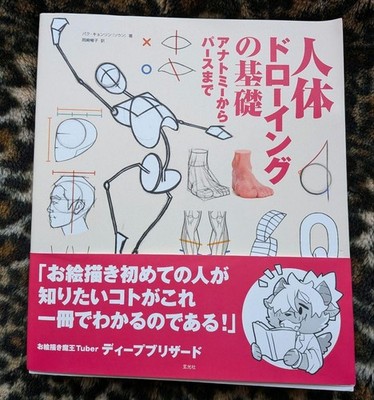 Basics Of Human Body Drawing