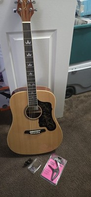 The Guitar Is New. Music Is New  It has its case and accessories.