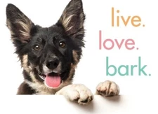 Sourcebooks Live. Love. Bark. (Hardback)